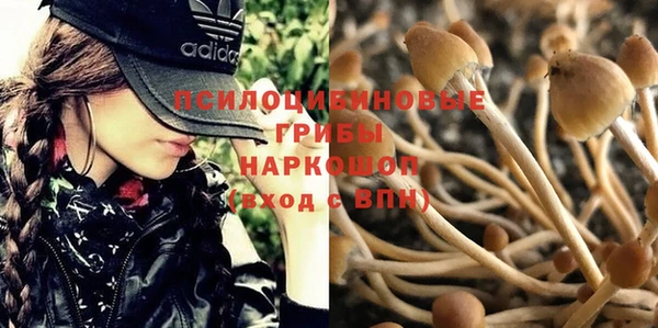 спайс Балабаново